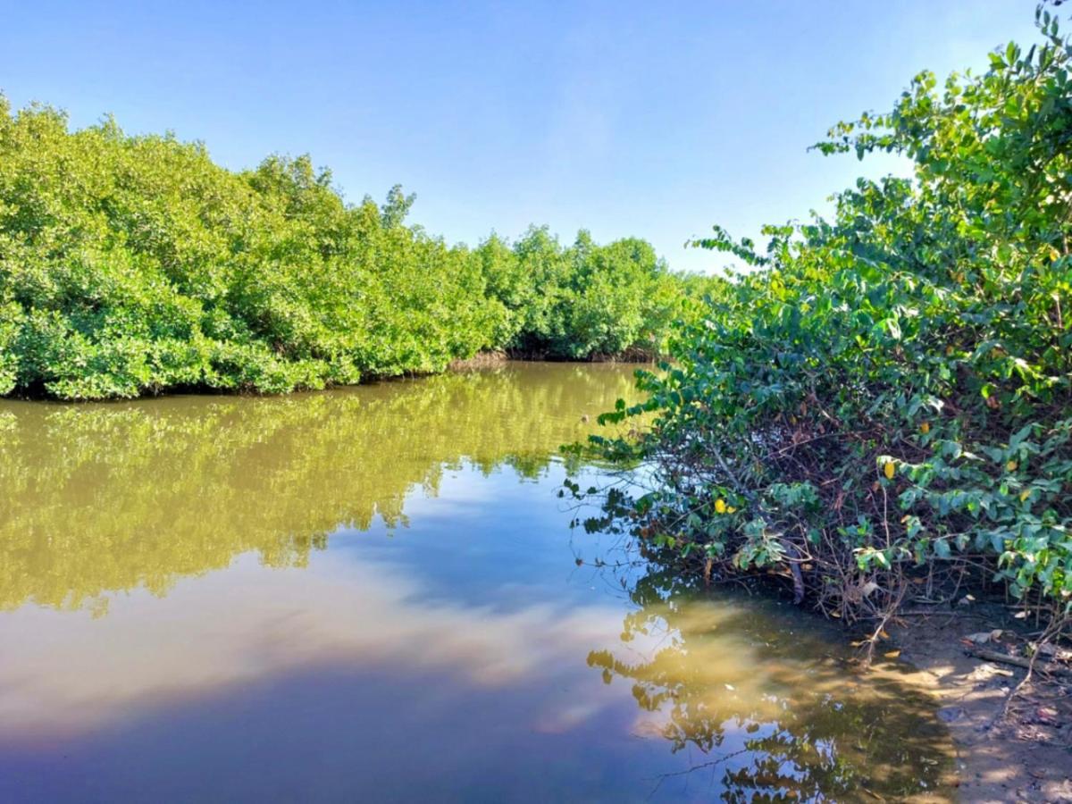 Mangrove Beach Sanyang 外观 照片