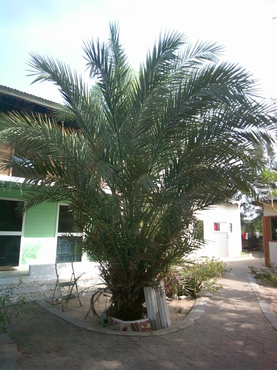 Mangrove Beach Sanyang 外观 照片