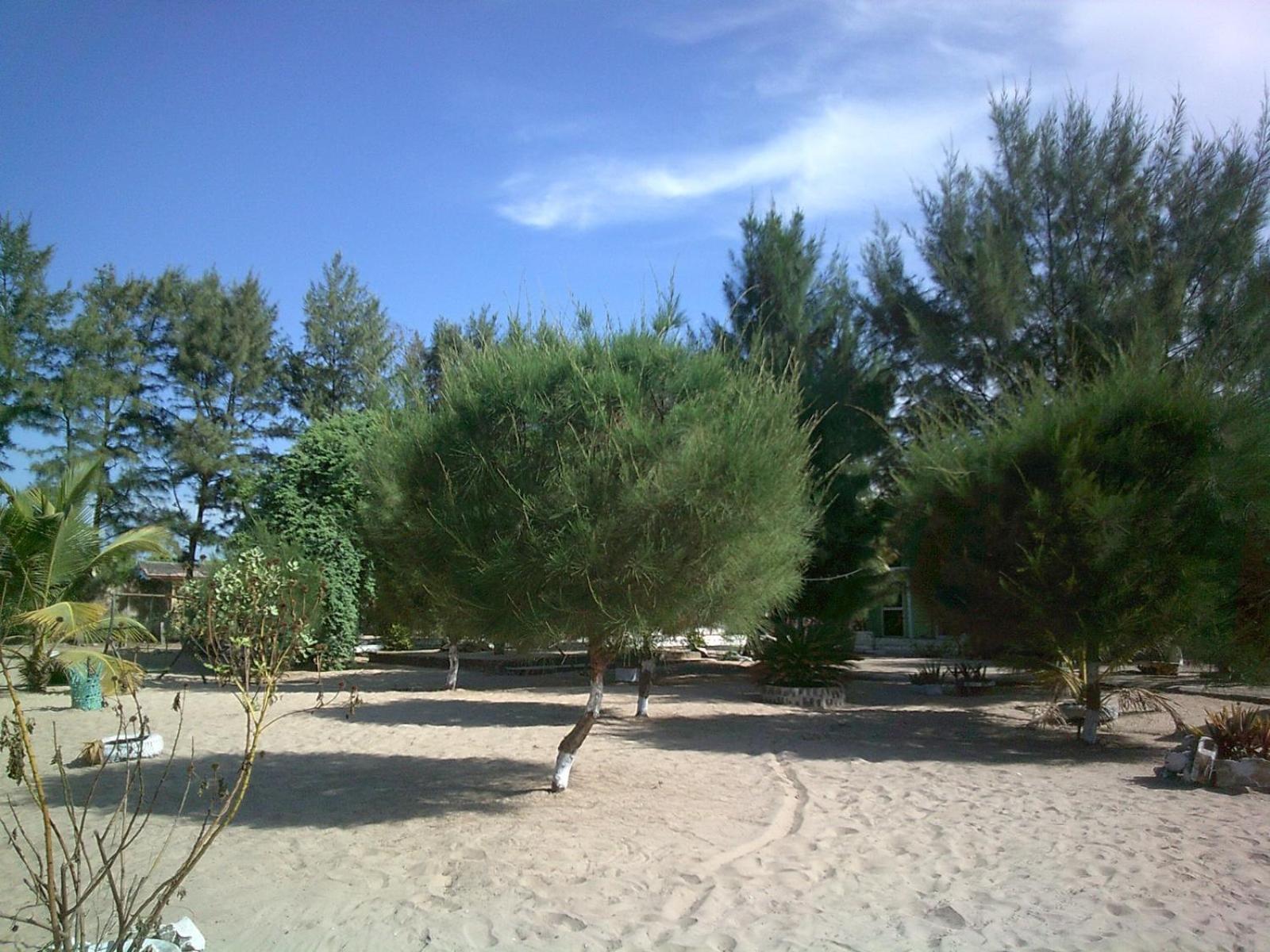 Mangrove Beach Sanyang 外观 照片